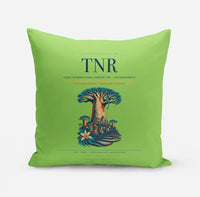 Thumbnail for Ivato International Airport (TNR) design on light green pillow