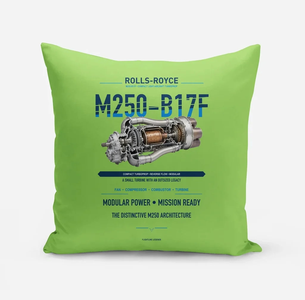 M250-B17F design on light green pillow