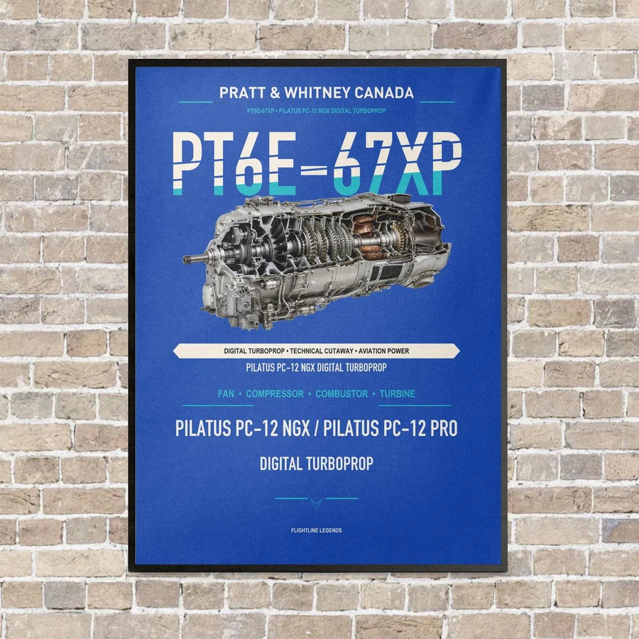 PT6E-67XP vertical canvas print - framed - blue background