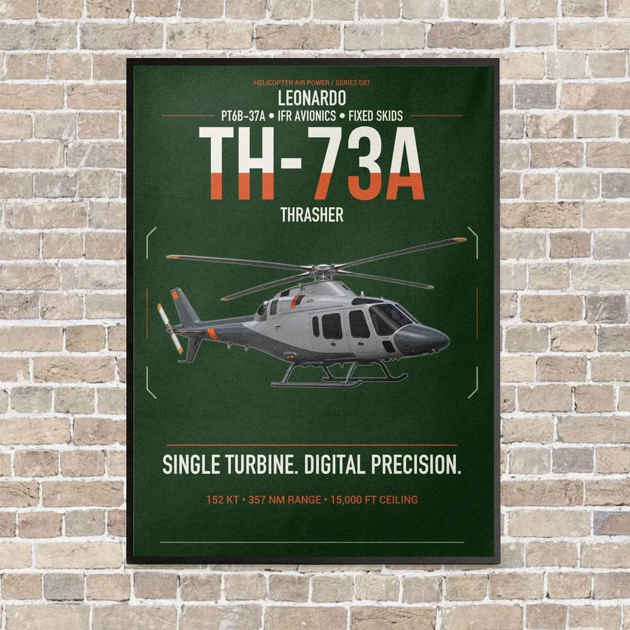 Leonardo TH-73A Thrasher vertical canvas print - framed - dark green background