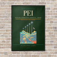 Thumbnail for Matecaña International Airport PEI — Pereira vertical canvas print - framed - dark green background