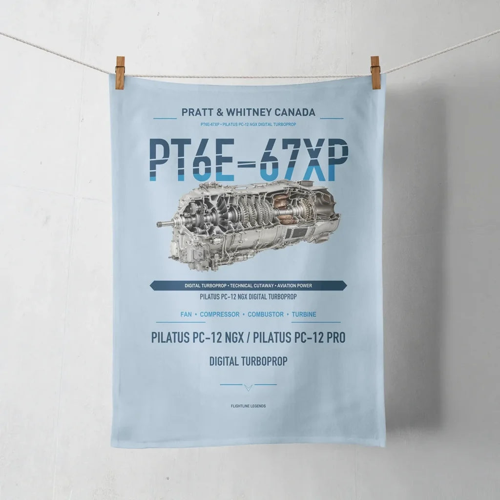 PT6E-67XP design on light blue towel