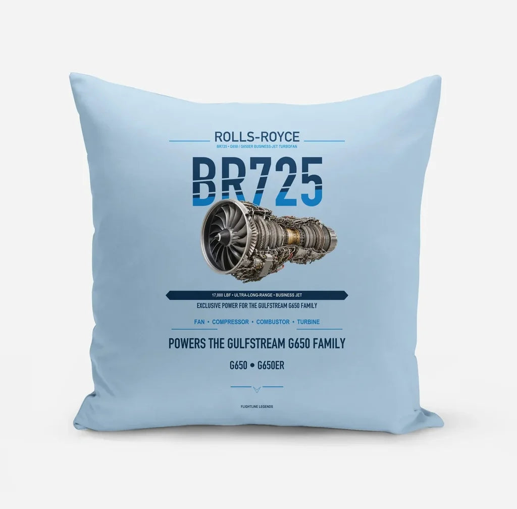 BR725 design on light blue pillow