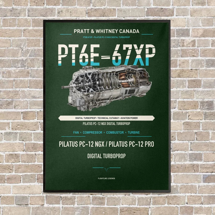 PT6E-67XP vertical canvas print - framed - dark green background