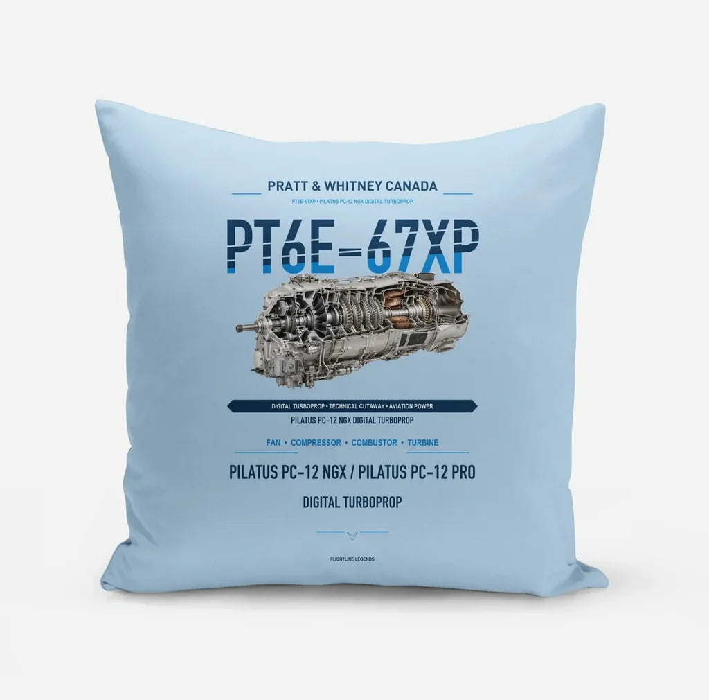 PT6E-67XP design on light blue pillow