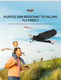 Thumbnail for Z59 2Channel 2.4G Glider RC Airplane with Eagle Style Remote Control EPP Foam Drone Simple Control - view 11