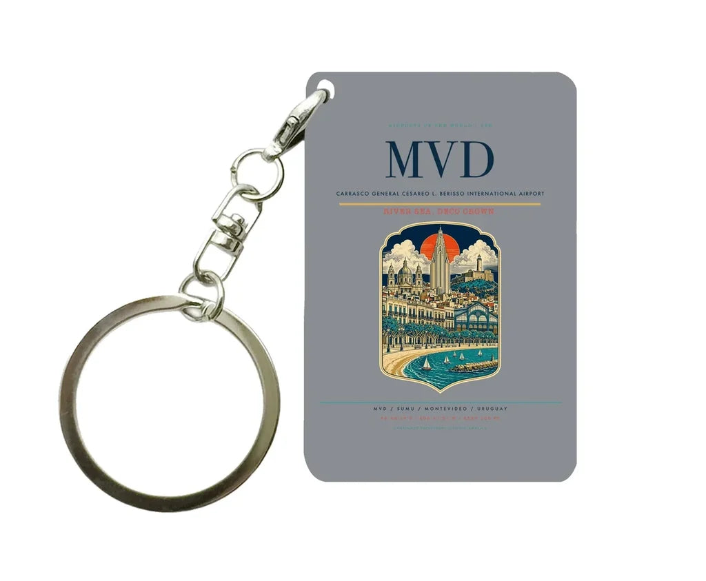 Carrasco General Cesareo L. Berisso International Airport MVD Gray