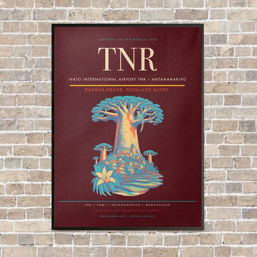 Ivato International Airport TNR — Antananarivo vertical canvas print - framed - dark red background