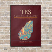 Thumbnail for Tbilisi International Airport TBS vertical canvas print - framed - dark red background