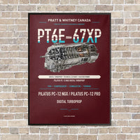 Thumbnail for PT6E-67XP vertical canvas print - framed - dark red background