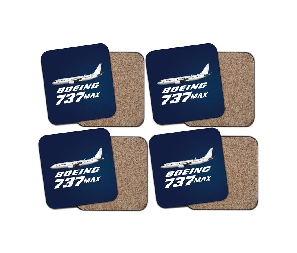 Boeing 737 Coaster - view 6