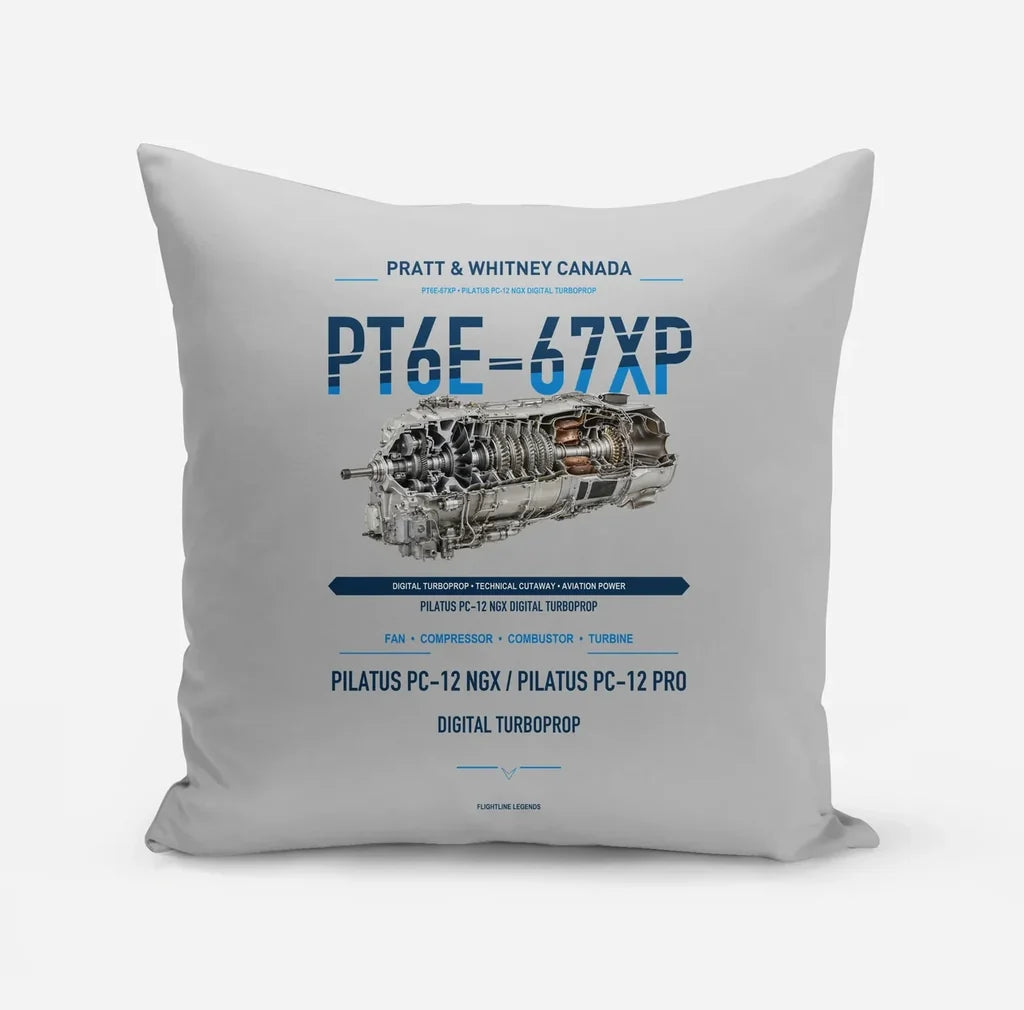 PT6E-67XP design on light gray pillow