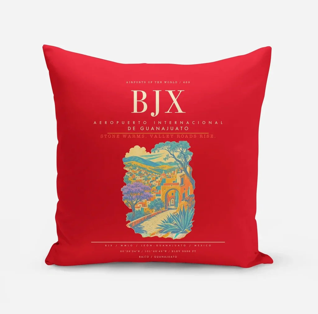 Aeropuerto Internacional de Guanajuato BJX - Red