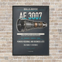 Thumbnail for AE 3007 vertical canvas print - framed - gray background