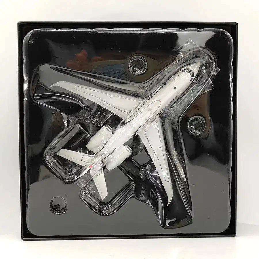 Dassault Falcon 6X F-XTRA Aircraft Model (1:200)