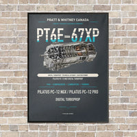 Thumbnail for PT6E-67XP vertical canvas print - framed - gray background