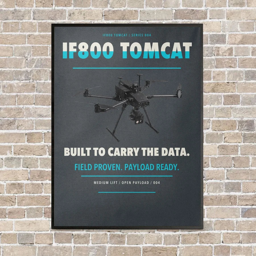 Inspired Flight IF800 Tomcat vertical canvas print - framed - gray background