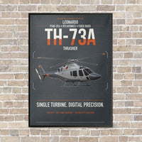 Thumbnail for Leonardo TH-73A Thrasher vertical canvas print - framed - gray background