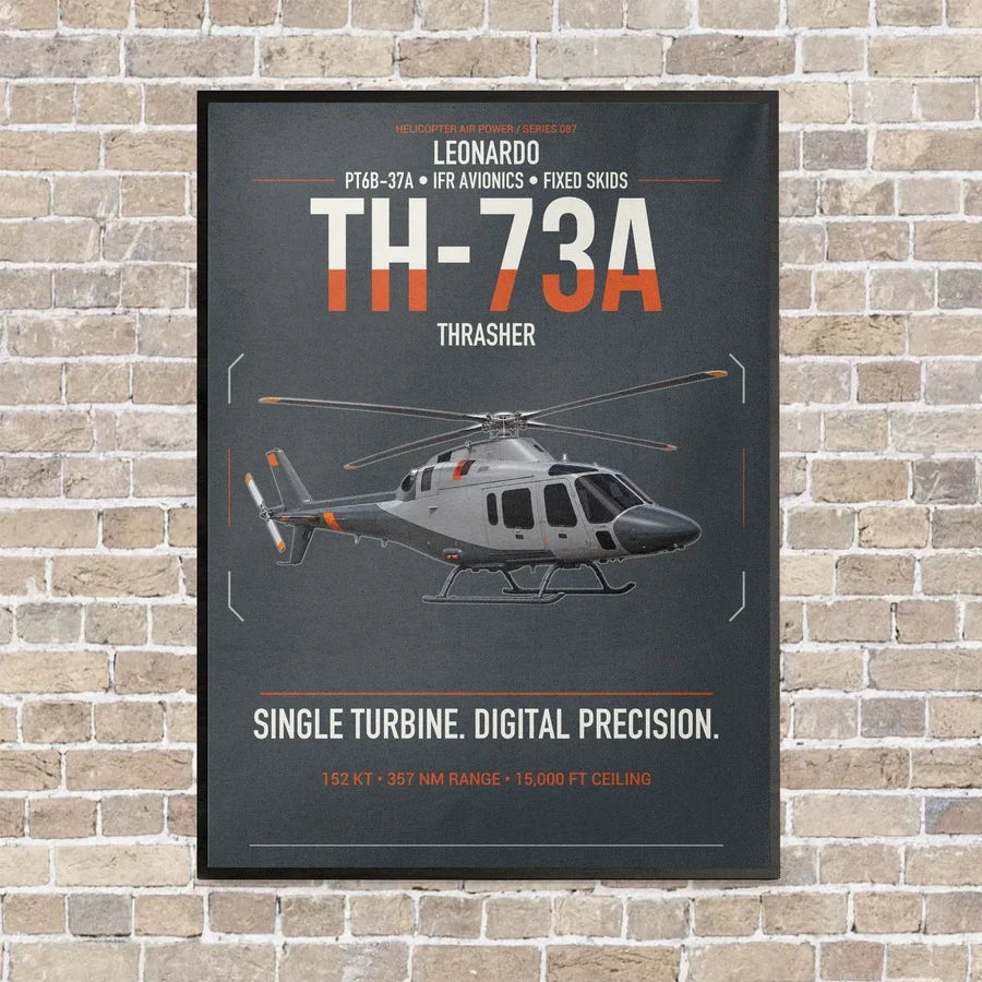 Leonardo TH-73A Thrasher vertical canvas print - framed - gray background