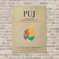 Thumbnail for Punta Cana International Airport PUJ vertical canvas print - no frame - beige background