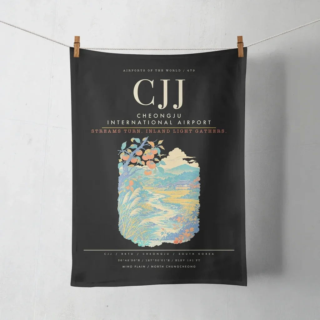Cheongju International Airport CJJ - Black