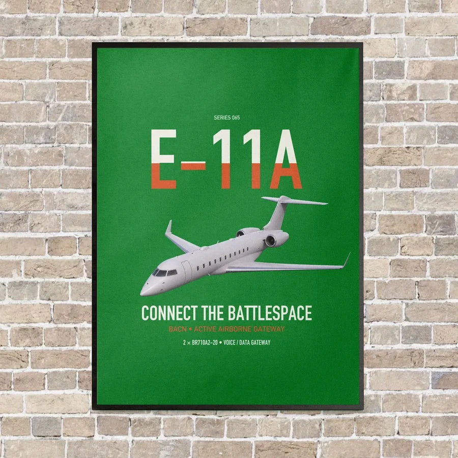 E-11A BACN vertical canvas print - framed - green background