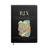 Thumbnail for Aeropuerto Internacional de Guanajuato BJX - Black