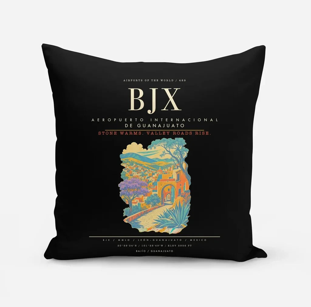 Aeropuerto Internacional de Guanajuato BJX - Black