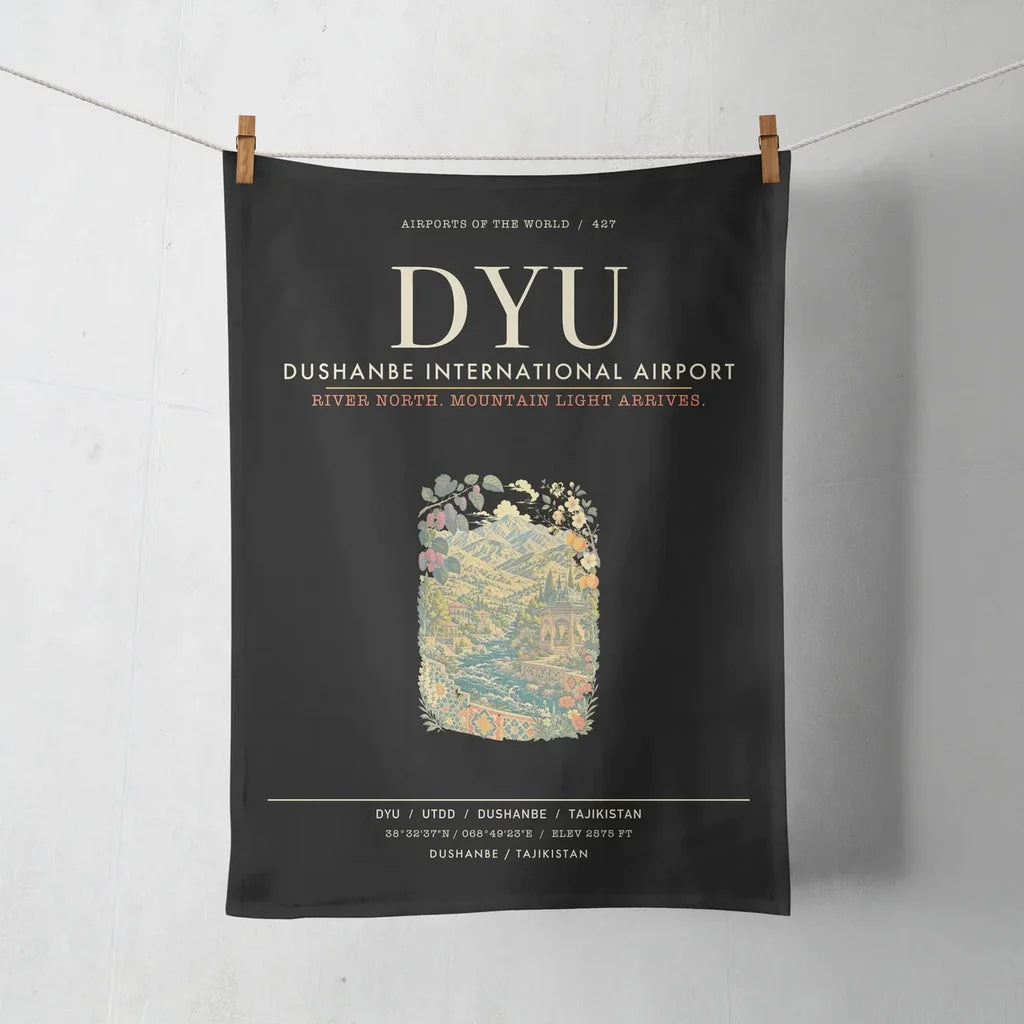 Dushanbe International Airport DYU - Black