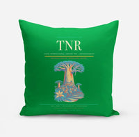Thumbnail for Ivato International Airport (TNR) design on green pillow