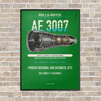 Thumbnail for AE 3007 vertical canvas print - framed - green background