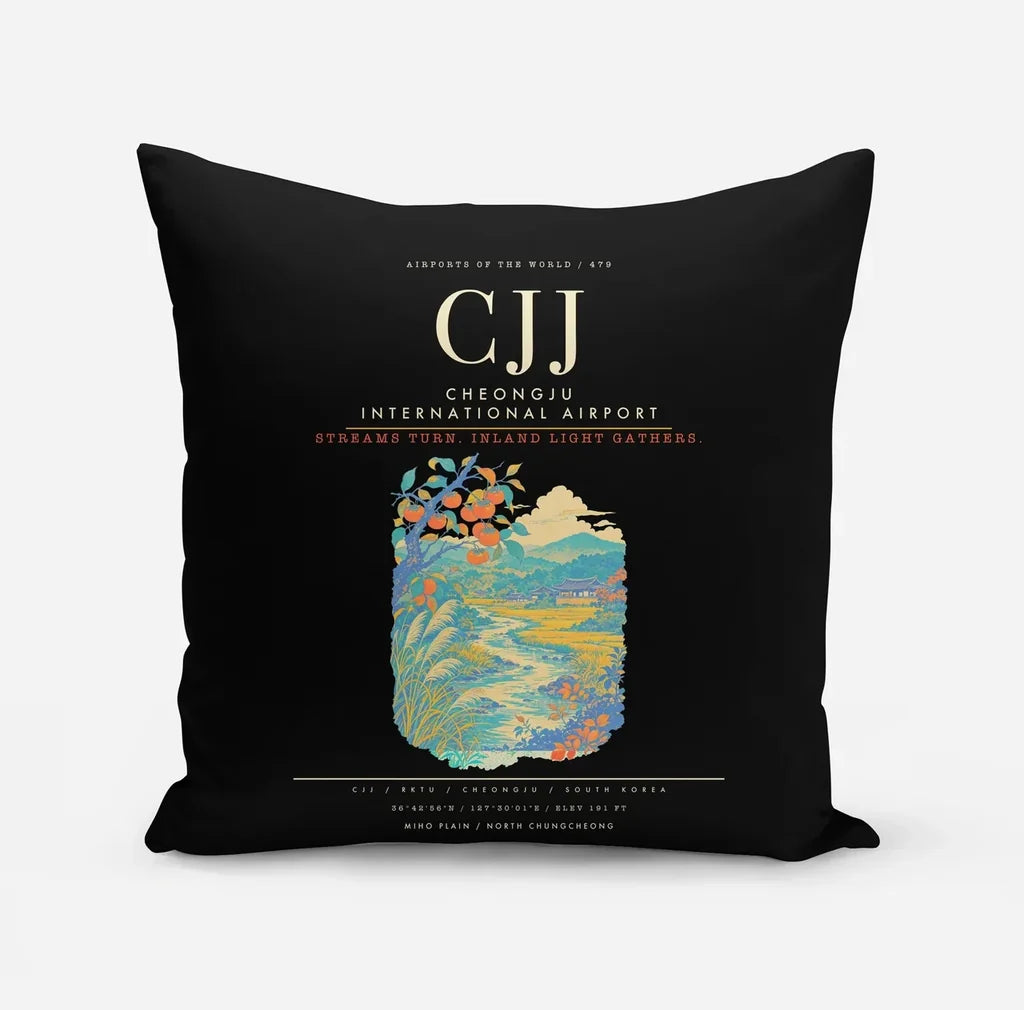 Cheongju International Airport CJJ - Black