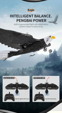 Thumbnail for Z59 2Channel 2.4G Glider RC Airplane with Eagle Style Remote Control EPP Foam Drone Simple Control - view 14