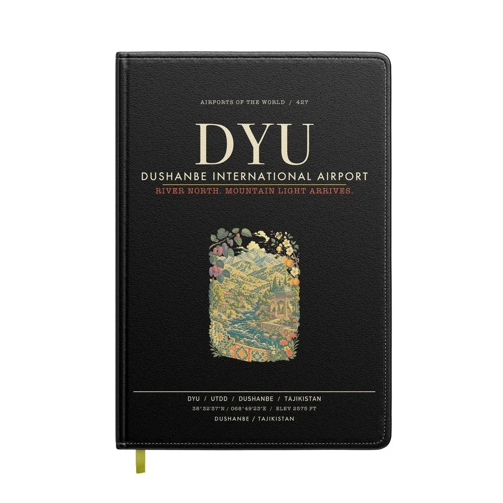 Dushanbe International Airport DYU - Black
