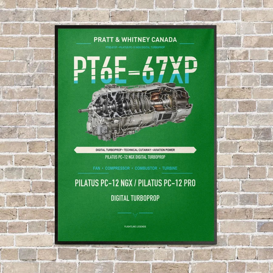 PT6E-67XP vertical canvas print - framed - green background