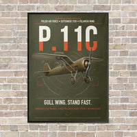 Thumbnail for PZL P.11c vertical canvas print - framed - green army background