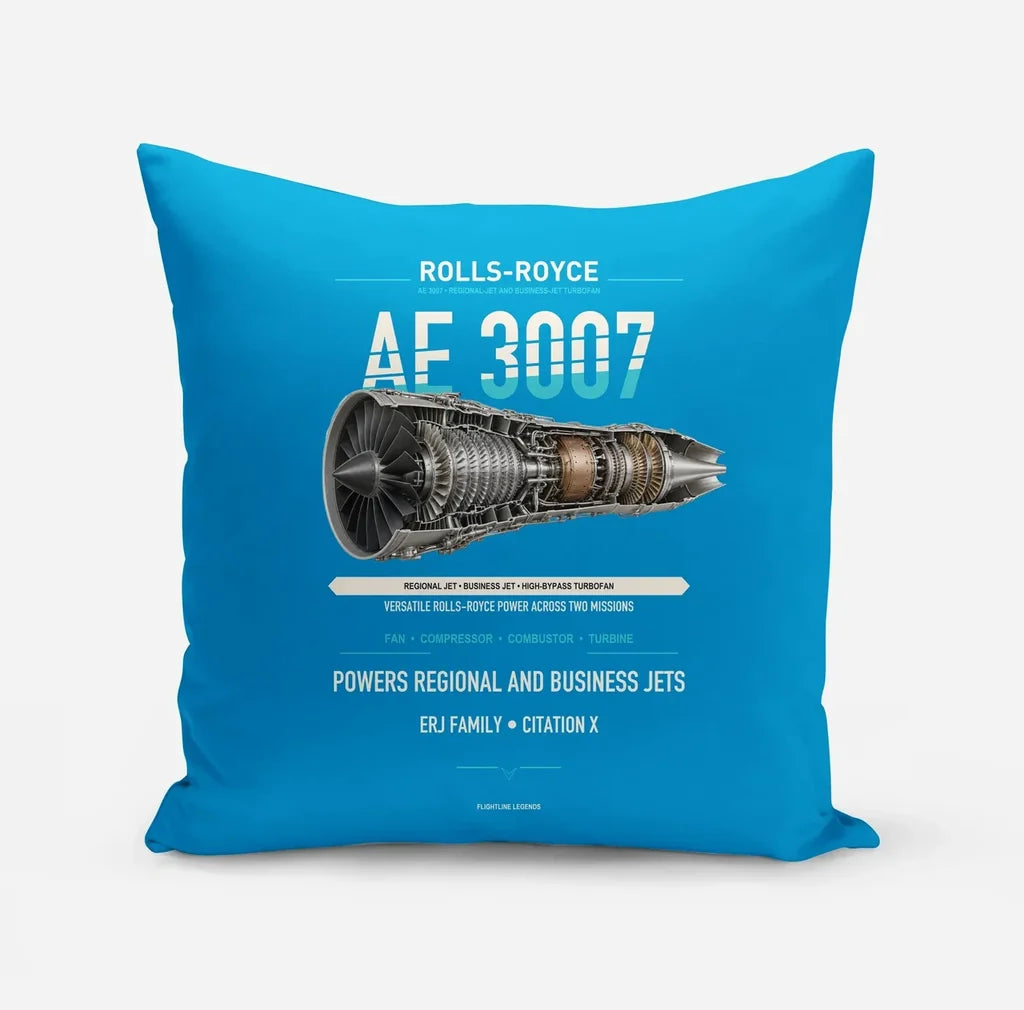 AE 3007 design on turquoise pillow