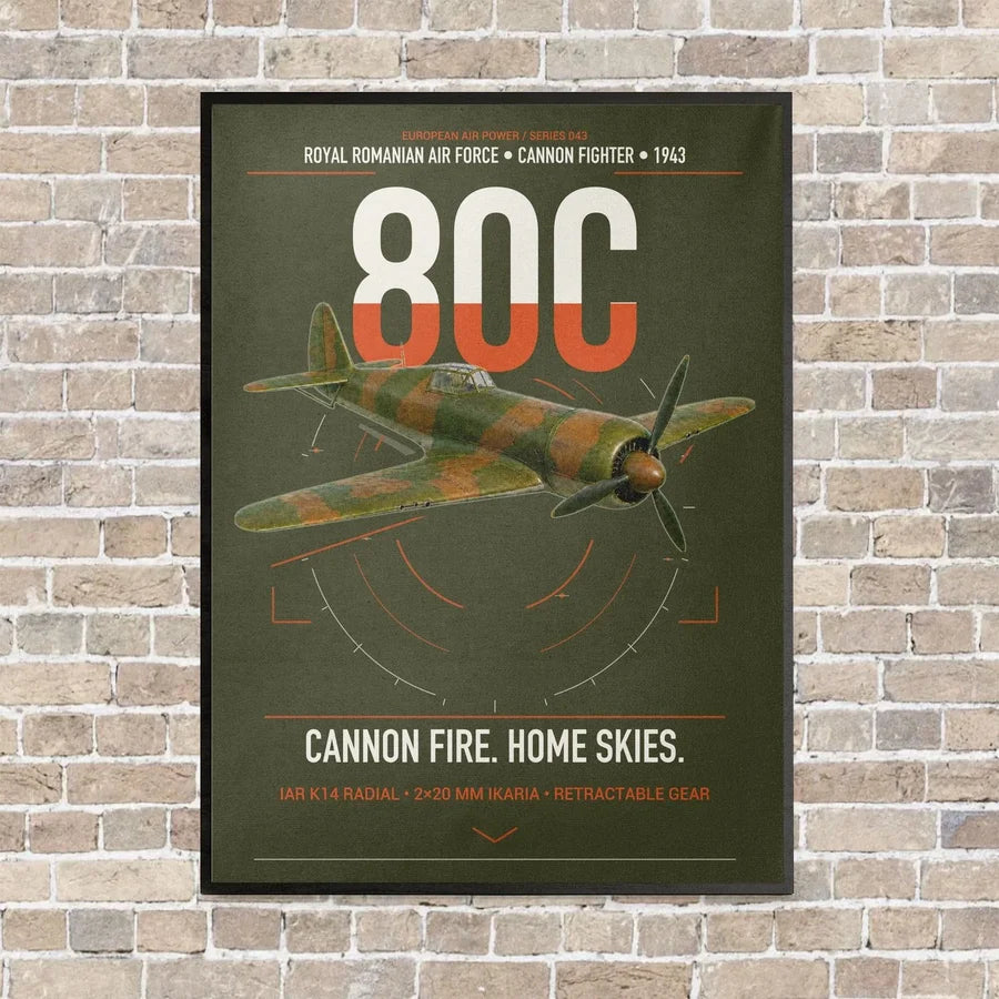 IAR 80C vertical canvas print - framed - green army background