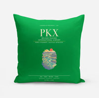 Thumbnail for Beijing Daxing International Airport PKX - Green