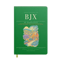 Thumbnail for Aeropuerto Internacional de Guanajuato BJX - Green