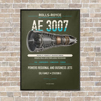 Thumbnail for AE 3007 vertical canvas print - framed - green army background