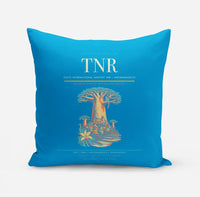 Thumbnail for Ivato International Airport (TNR) design on turquoise pillow