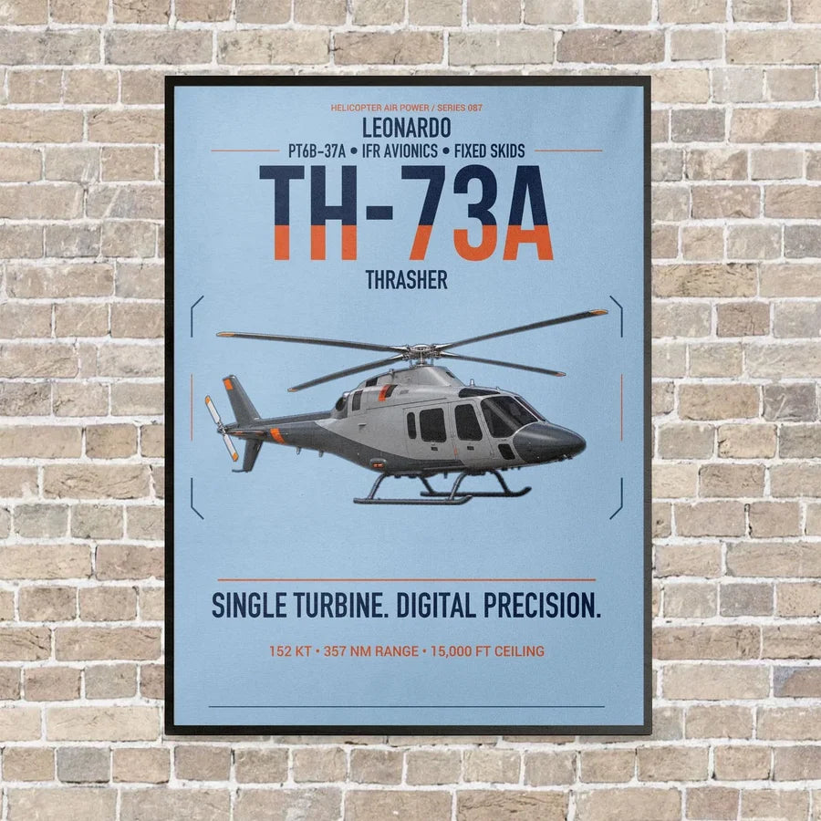 Leonardo TH-73A Thrasher vertical canvas print - framed - light blue background