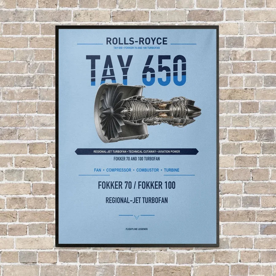 TAY 650 vertical canvas print - framed - light blue background