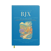 Thumbnail for Aeropuerto Internacional de Guanajuato BJX - Turquoise