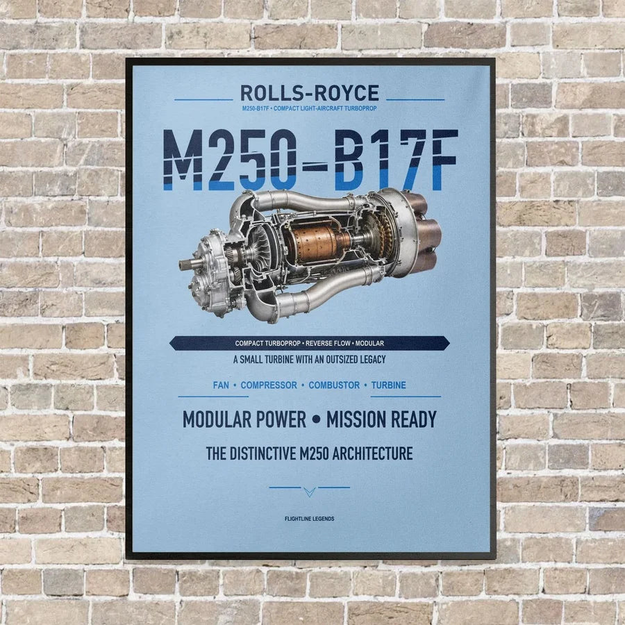M250-B17F vertical canvas print - framed - light blue background