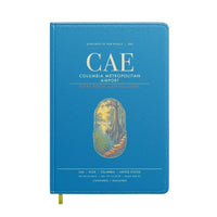 Thumbnail for Columbia Metropolitan Airport CAE - Turquoise