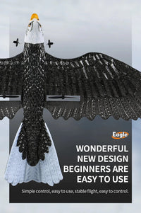 Thumbnail for Z59 2Channel 2.4G Glider RC Airplane with Eagle Style Remote Control EPP Foam Drone Simple Control - view 16
