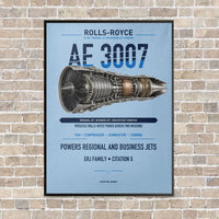 Thumbnail for AE 3007 vertical canvas print - framed - light blue background
