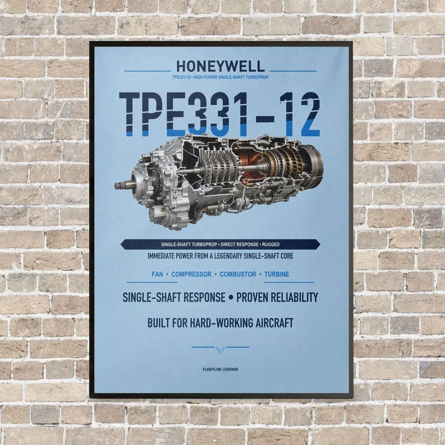 TPE331-12 vertical canvas print - framed - light blue background